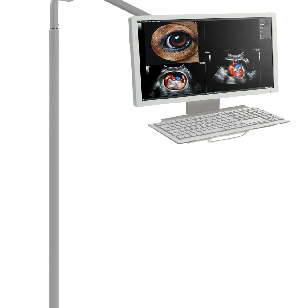 MONITOR A PAVIMENTO